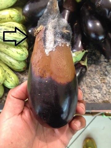 aubergine-grauschimmel