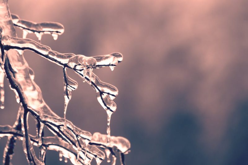 extreme-temperaturen-eis-frost