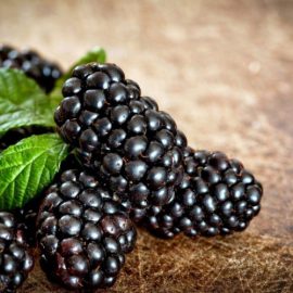 blackberry-treatments