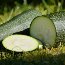 zuchini-treatments-for-pest-and-diseases