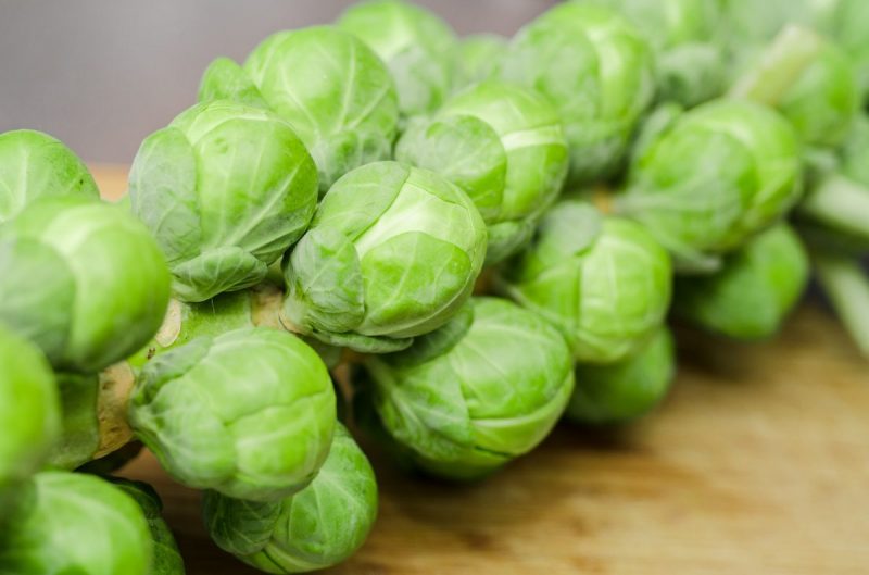 brussels-sprouts-growing-guide