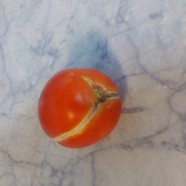 Cracked tomatoes ARM EN Community
