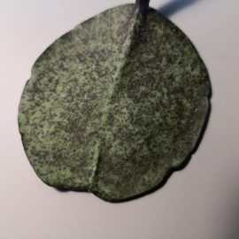 Hoya obovata blackening leaves ARM EN Community