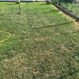 Lawn treatments against yellowing spots ARM EN Community