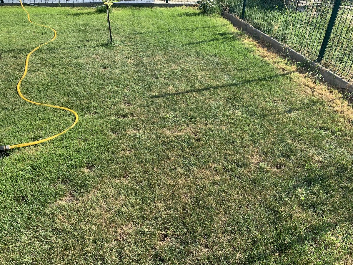 Lawn Treatments Against Yellowing Spots Armuro