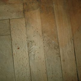 Wood borers inside the solid oak flooring ARM EN Community