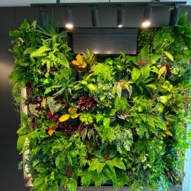 What insecticide could I use preventively for this vertical garden? ARM EN Community