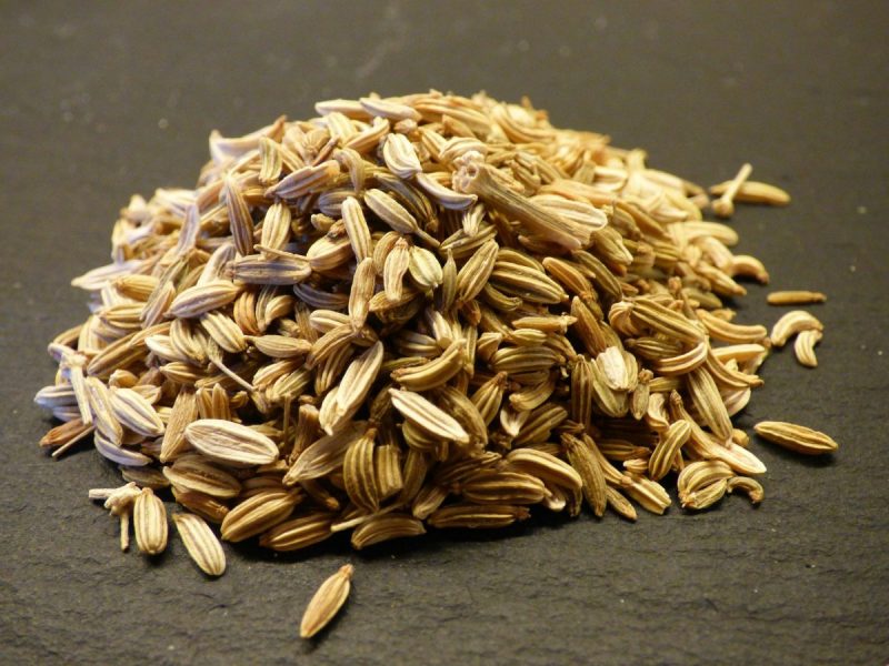 fennel-seeds-2