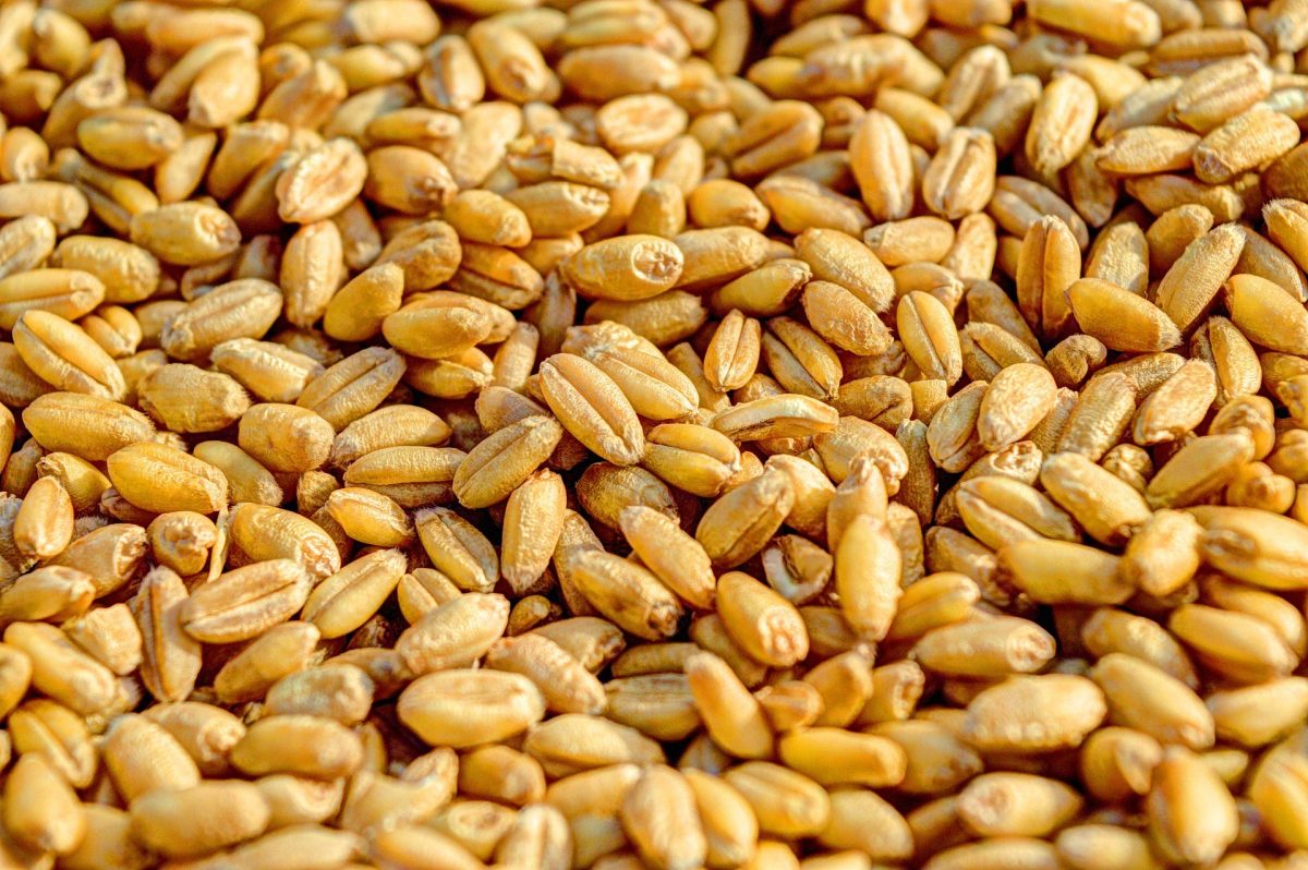 How to treat cereal grains