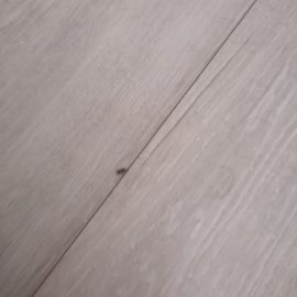 Why have I got weevils in my bedroom? ARM EN Community
