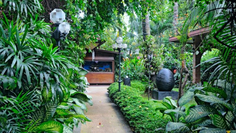 Tropical ambiance in your garden