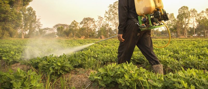 Növényvédelmi kezelések - munkavédelem és környezetvédelem