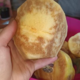 Pigwa – owoce z brązowym miąższem ARM PL Community