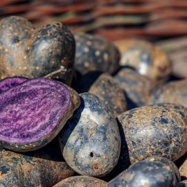 patata-violeta